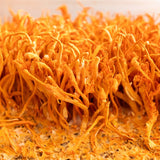 Cordyceps