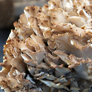 Screenshot 2025-10-15 144232.png__PID:e64ce258-d832-4925-a644-143661c6a115