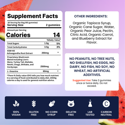 Spectrum 9 Mushroom Gummies
